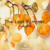 <p>The Lost Summer</p>
