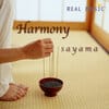 <p>Harmony</p>
