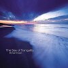<p>The Sea of Tranquility</p>
