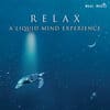 <p>RELAX: A Liquid Mind Experience</p>
