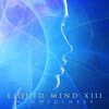 <p>Liquid Mind XIII: Mindfulness</p>
