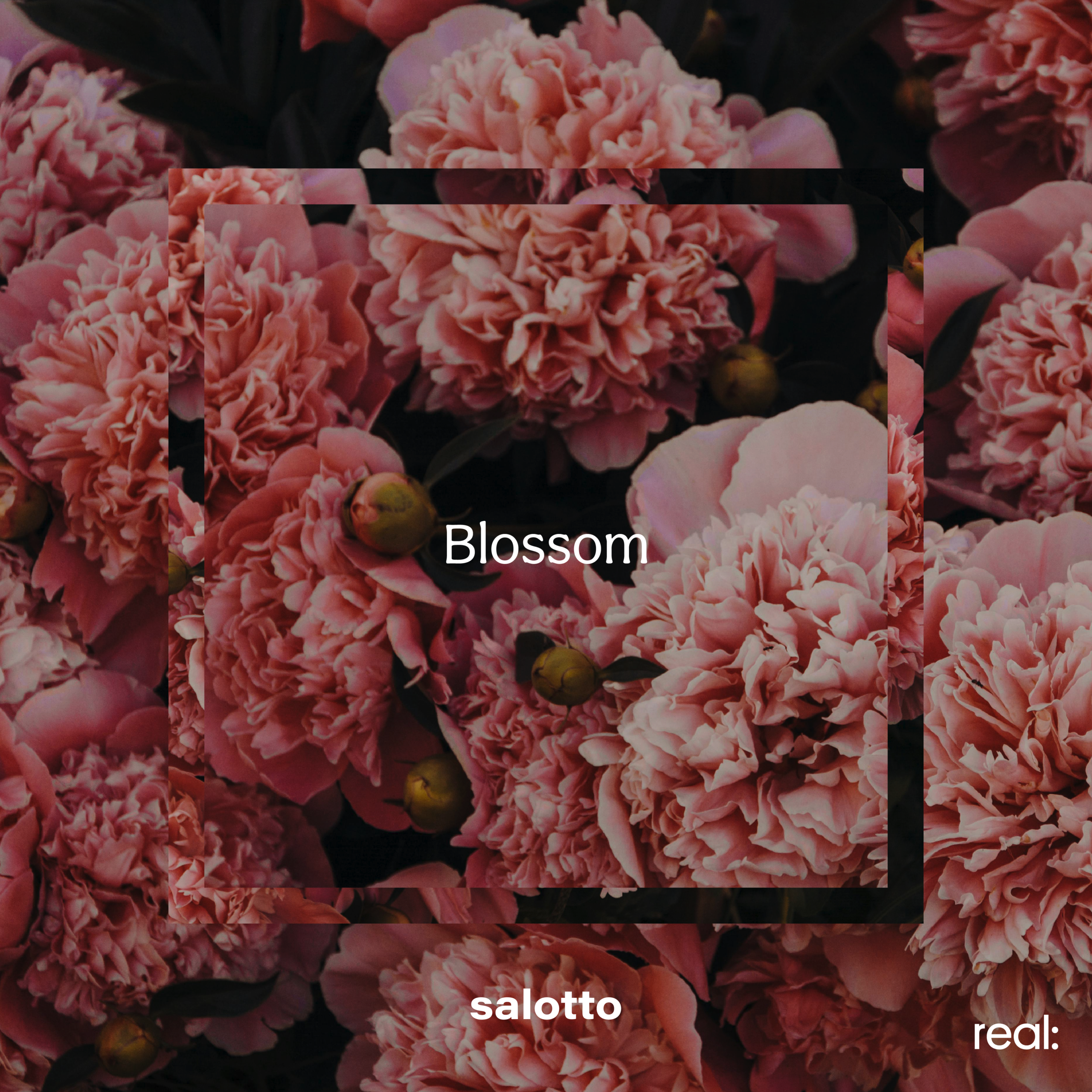 Blossom